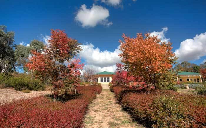 באלנדין Accommodation Creek Cottages & Sundown View Suites מראה חיצוני תמונה