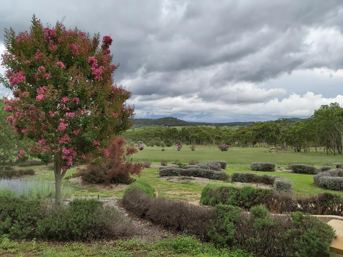 באלנדין Accommodation Creek Cottages & Sundown View Suites מראה חיצוני תמונה